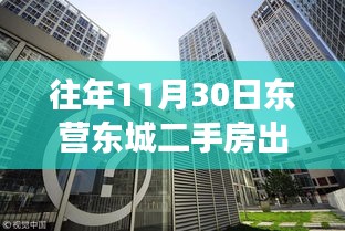 揭秘往年11月30日东营东城二手房市场风云与热门出售信息背后的故事