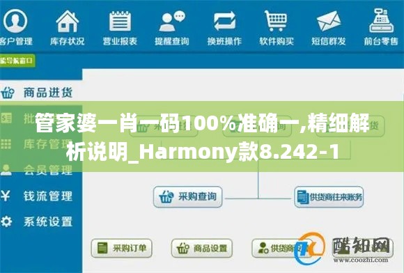 管家婆一肖一码100%准确一,精细解析说明_Harmony款8.242-1