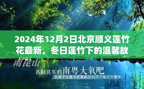 望其项背 第2页