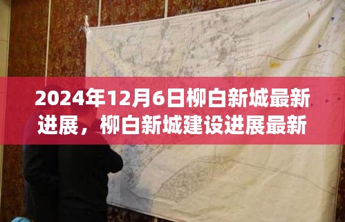 深度解析与观点碰撞