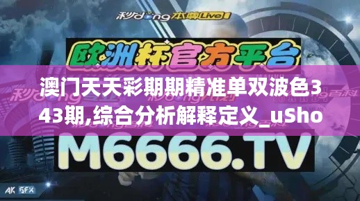 澳门天天彩期期精准单双波色343期,综合分析解释定义_uShop3.795