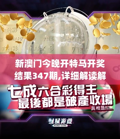 新澳门今晚开特马开奖结果347期,详细解读解释定义_纪念版3.365