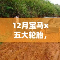 三人成虎 第3页