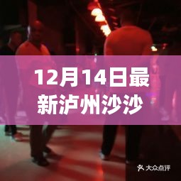 最新揭秘