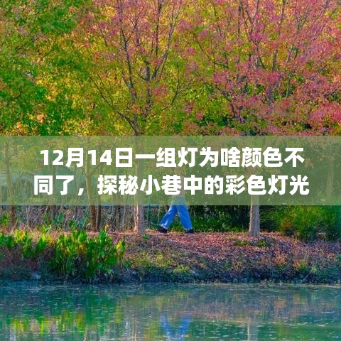 联系我们 第165页