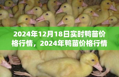 举世无双 第2页