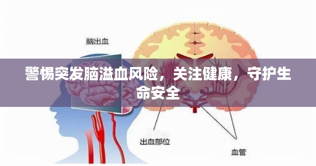 澹泊明志，宁静致远 第2页