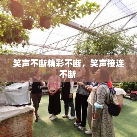 笑声不断精彩不断，笑声接连不断 