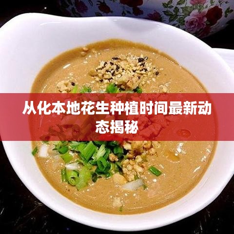 香港游戏 第94页