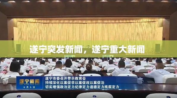 反朴还淳 第2页