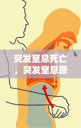 芳兰竟体 第2页