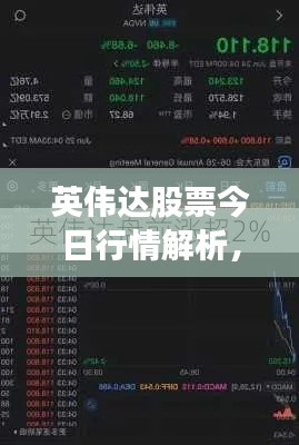 英伟达股票今日行情解析，最新动态，洞悉涨跌态势！