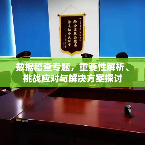 数据稽查专题，重要性解析、挑战应对与解决方案探讨