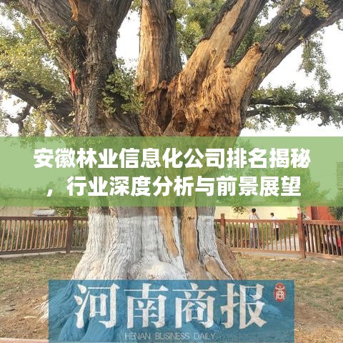 安徽林业信息化公司排名揭秘，行业深度分析与前景展望