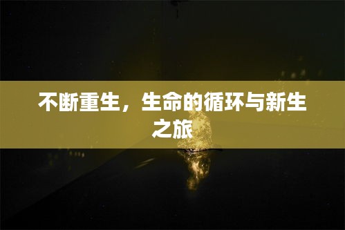 热门游戏 第19页
