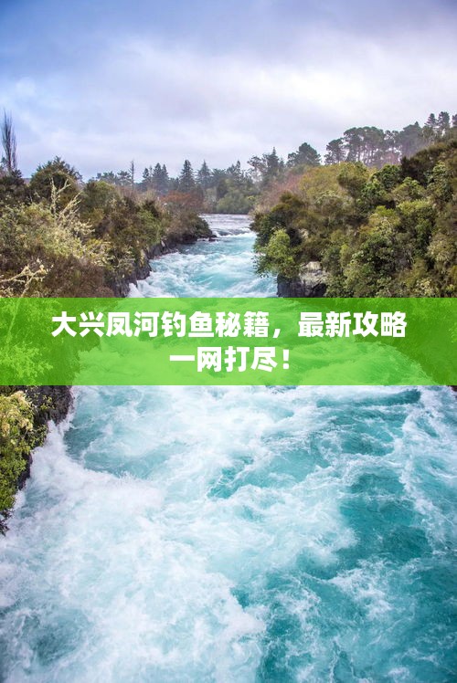 大兴凤河钓鱼秘籍，最新攻略一网打尽！