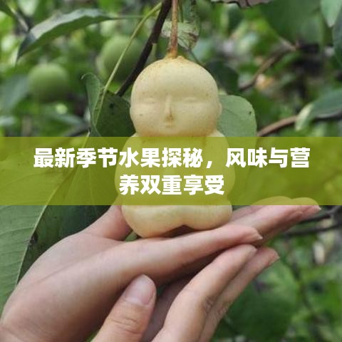 最新季节水果探秘，风味与营养双重享受