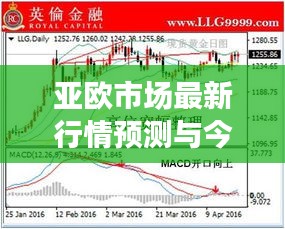 母凭子贵