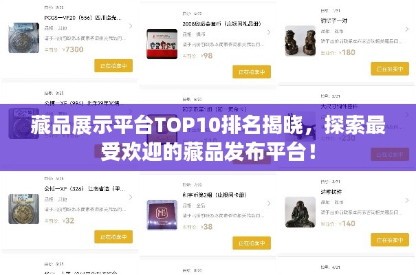 藏品展示平台TOP10排名揭晓，探索最受欢迎的藏品发布平台！