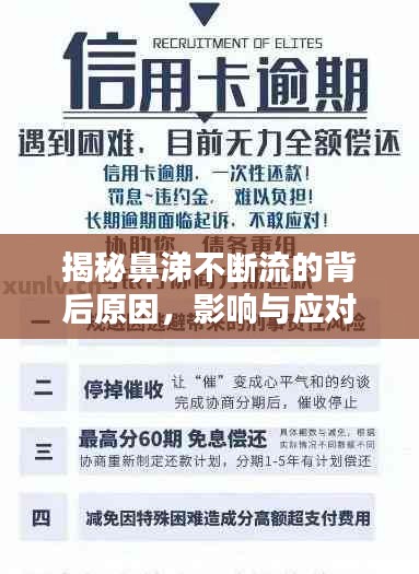 联系我们 第20页