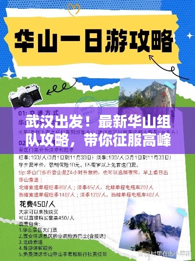 逆风飞扬