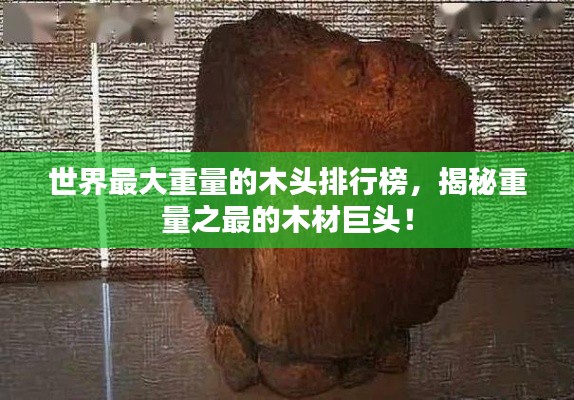 异口同声