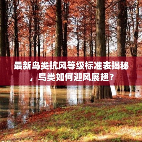 最新鸟类抗风等级标准表揭秘，鸟类如何迎风展翅？