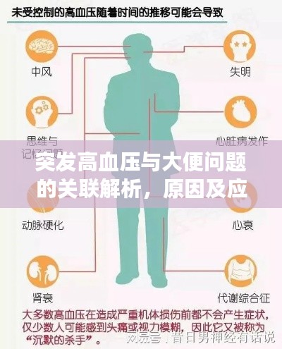 2025年5月10日 第2页