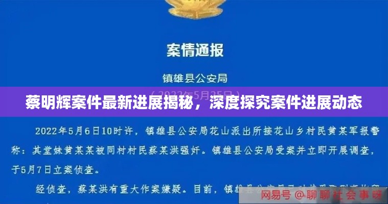 蔡明辉案件最新进展揭秘，深度探究案件进展动态