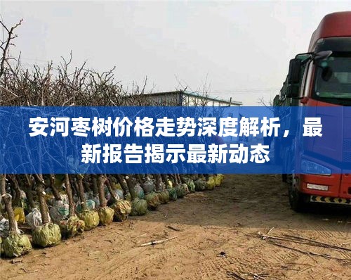 安河枣树价格走势深度解析，最新报告揭示最新动态