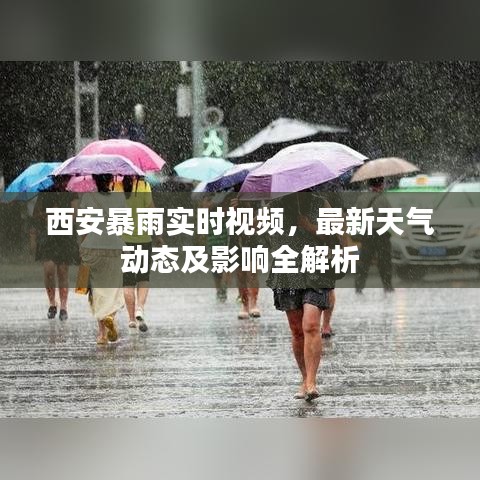 西安暴雨实时视频，最新天气动态及影响全解析