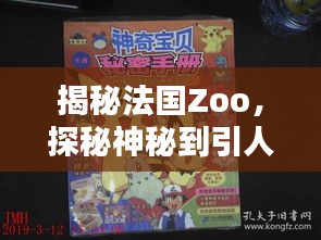 揭秘法国Zoo，探秘神秘到引人入胜的奇妙世界