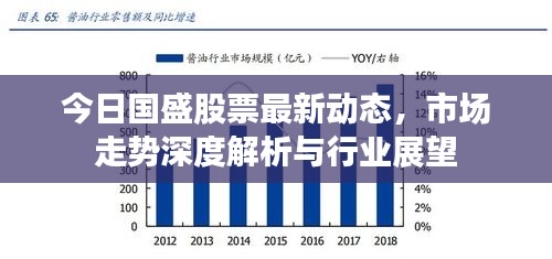 今日国盛股票最新动态，市场走势深度解析与行业展望