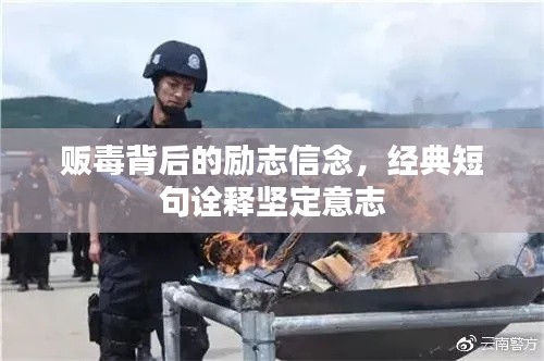 贩毒背后的励志信念，经典短句诠释坚定意志
