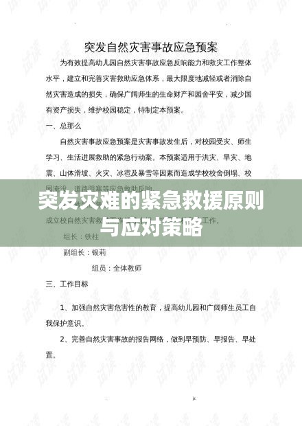 突发灾难的紧急救援原则与应对策略