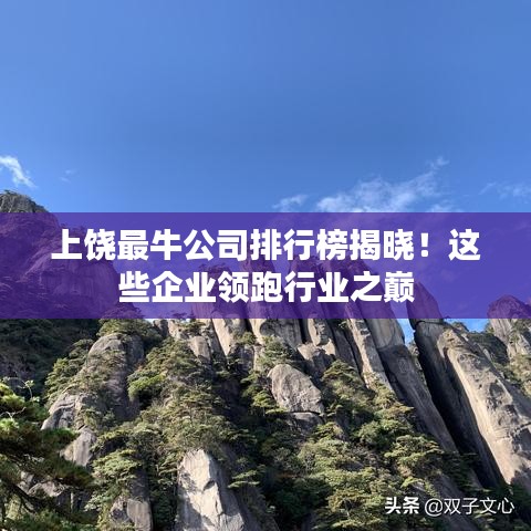 上饶最牛公司排行榜揭晓！这些企业领跑行业之巅