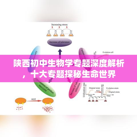 陕西初中生物学专题深度解析，十大专题探秘生命世界