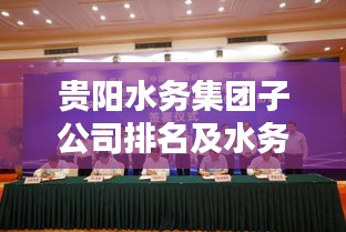贵阳水务集团子公司排名及水务领域杰出贡献揭秘