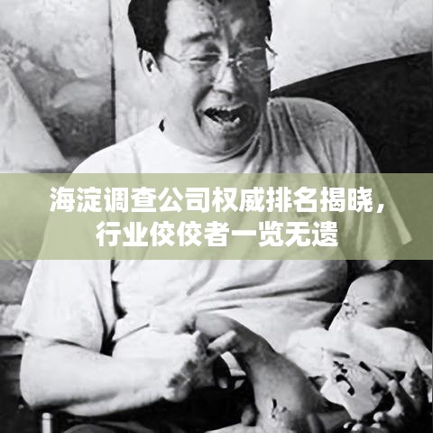 海淀调查公司权威排名揭晓，行业佼佼者一览无遗