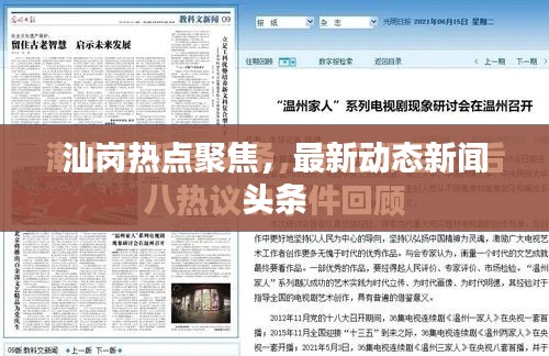 汕岗热点聚焦，最新动态新闻头条