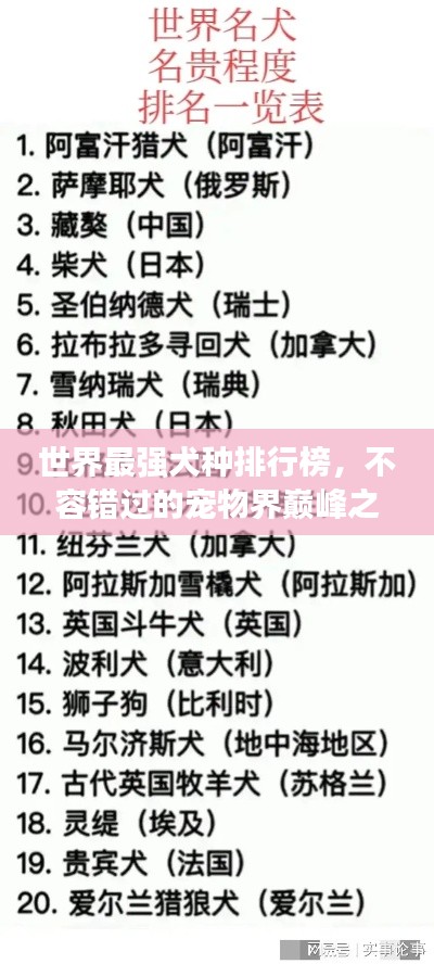 世界最强犬种排行榜，不容错过的宠物界巅峰之战！