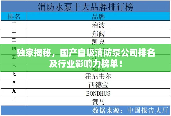 独家揭秘，国产自吸消防泵公司排名及行业影响力榜单！