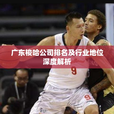 广东梭哈公司排名及行业地位深度解析