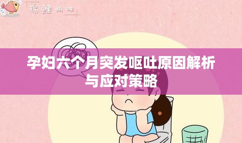 孕妇六个月突发呕吐原因解析与应对策略