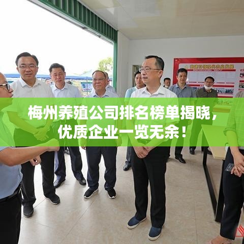梅州养殖公司排名榜单揭晓，优质企业一览无余！