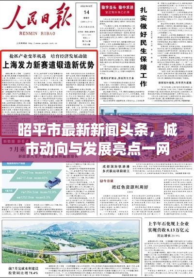 昭平市最新新闻头条，城市动向与发展亮点一网打尽